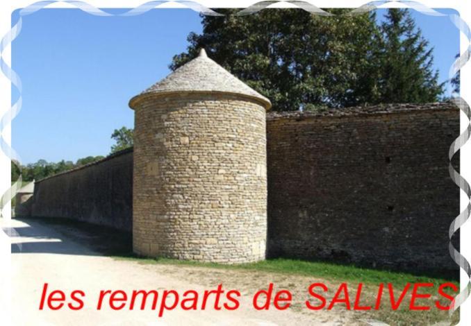 Le Puits Fortifie Salives 외부 사진